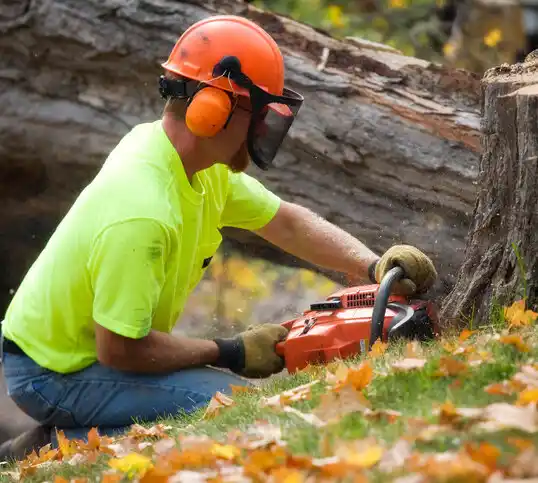 tree services Greenup